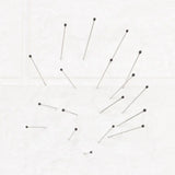 100Pcs Good Flexibility Lab Accessories Education Insect Dissections Supplies Pin Needle Specimen Pins