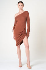 Long Sleeve Dress in Brick
